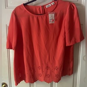 Cato, cute scalloped edge top